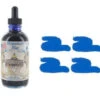 Noodlers Fountain Pen Ink Bottle - 4.5 Oz Baystate Blue W/ Free Pen -Office Supplie Store zzzzz 7a020517 6389 4a88 918a a4b7cfd5c577